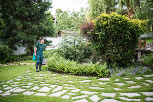 Best Lawn Pest Prevention  in Baldwin, GA