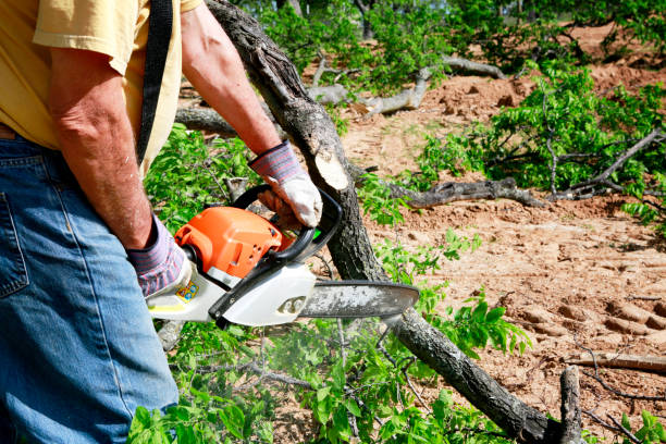 Best Tree Health Inspection  in Baldwin, GA